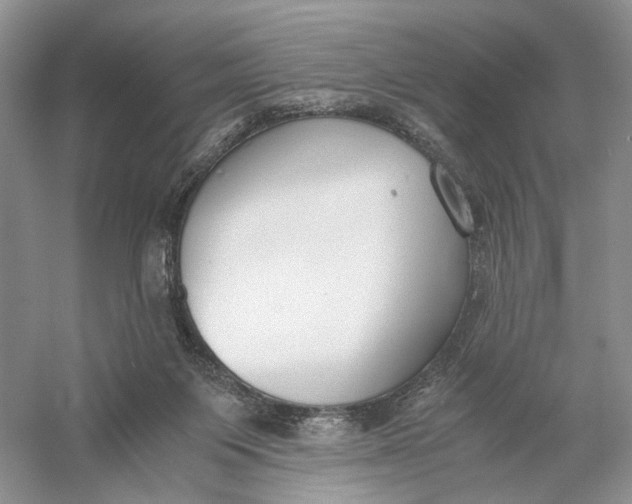 X0000056000119200509092056