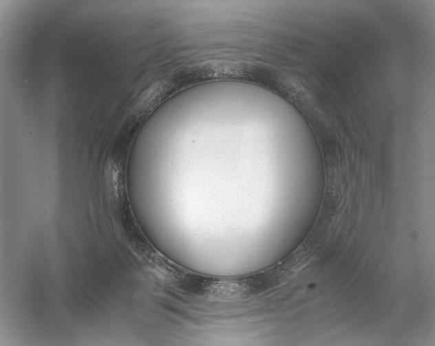 X0000056000123200509092056