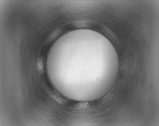 X0000056000124200509092056