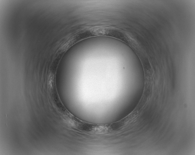 X0000056000125200509092056