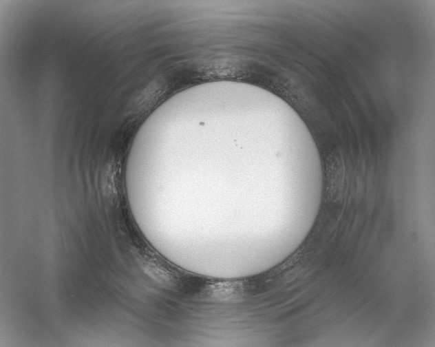 X0000056000126200509092056