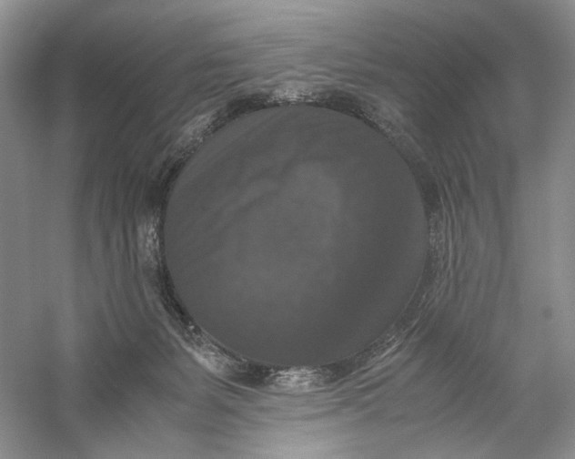 X0000056000127200509092056