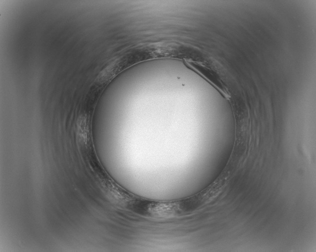 X0000056000129200509092056