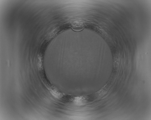 X0000056000130200509092056