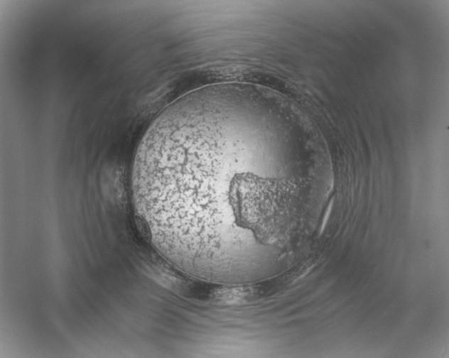 X0000056000131200509092056