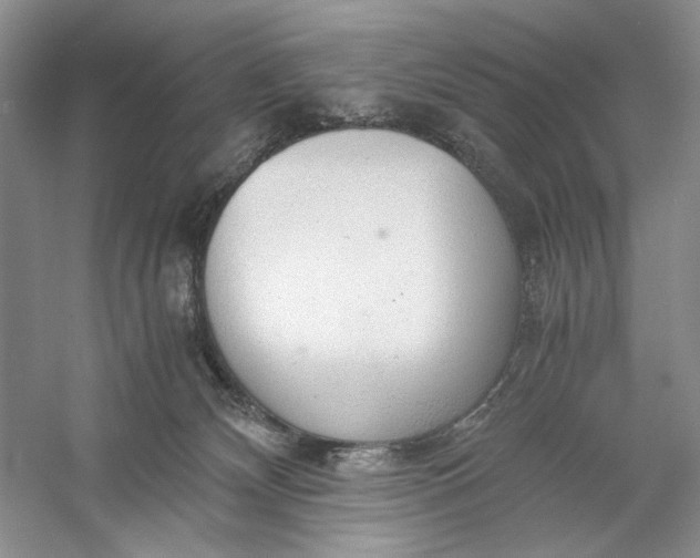 X0000056000132200509092056