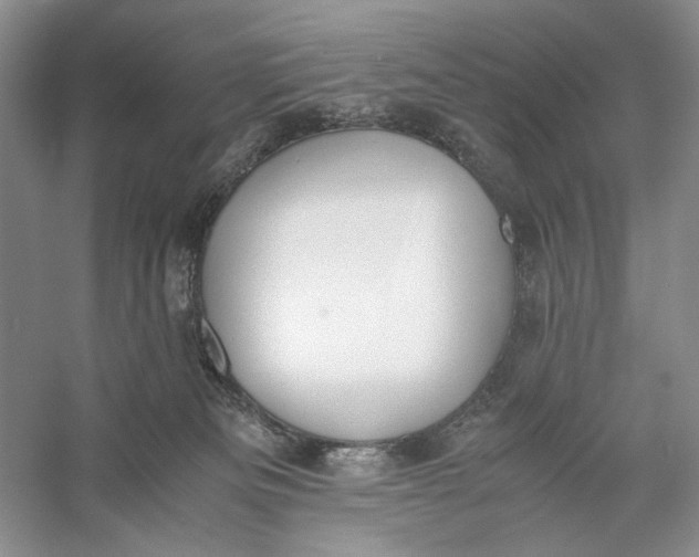 X0000056000133200509092056