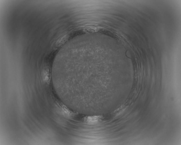 X0000056000134200509092056