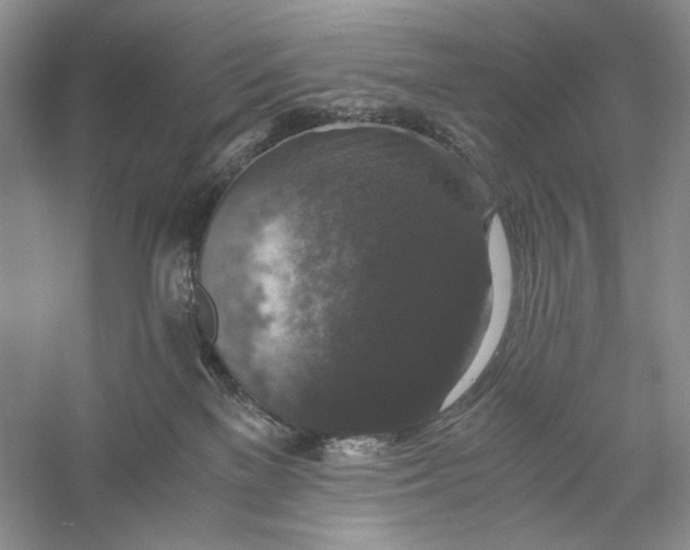 X0000056000137200509092055