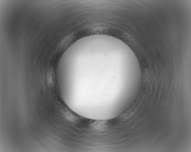 X0000056000138200509092055