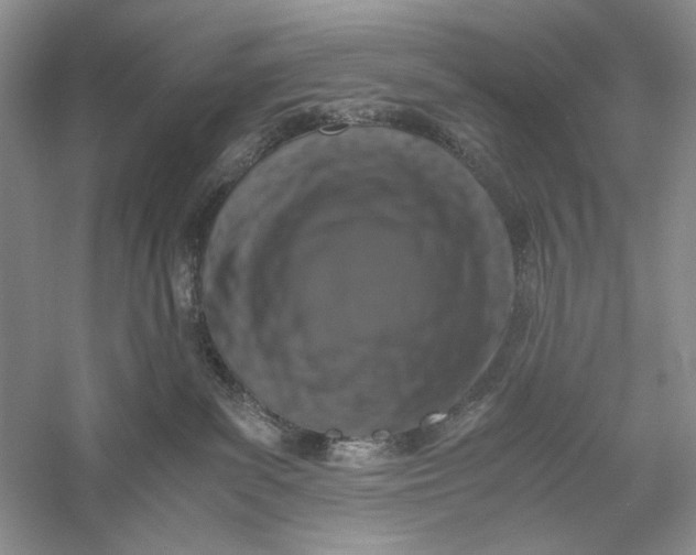 X0000056000139200509092055