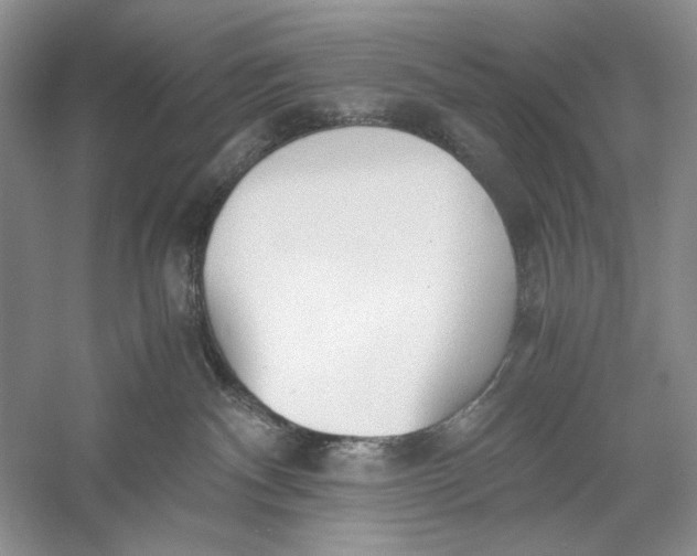 X0000056000140200509092055