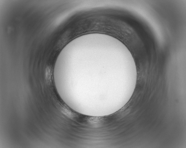 X0000056000142200509092055