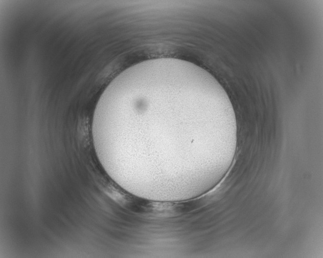 X0000056000144200509092055