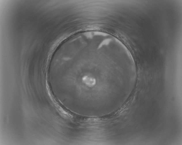 X0000056000145200509092055