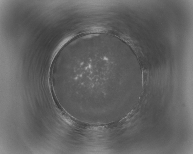 X0000056000147200509092055