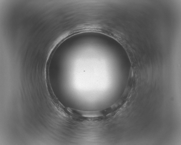 X0000056000148200509092055