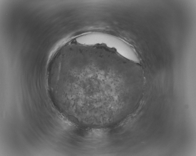 X0000056000149200509092055