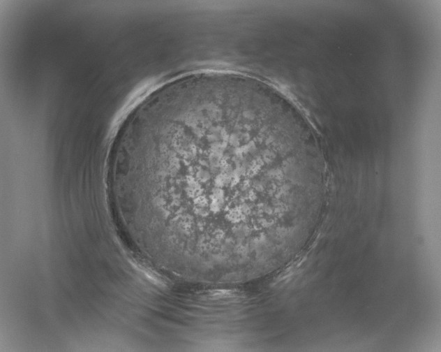 X0000056000151200509092055