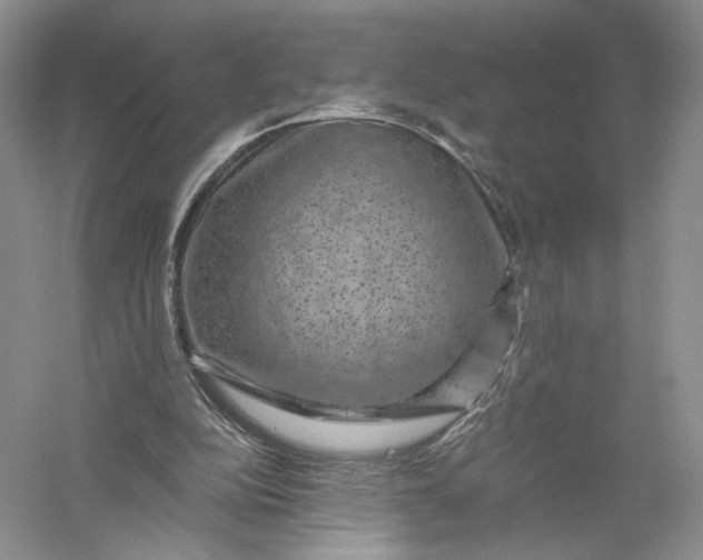 X0000056000152200509092055