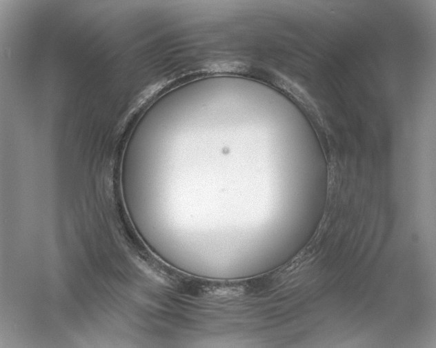 X0000056000155200509092055