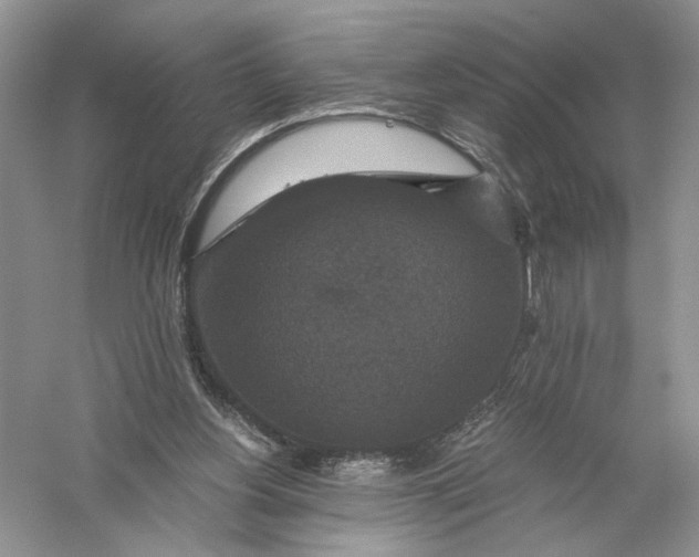 X0000056000156200509092055