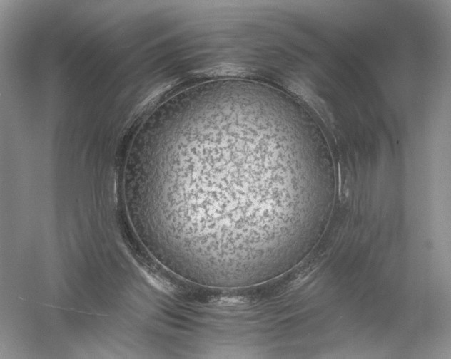 X0000056000157200509092055