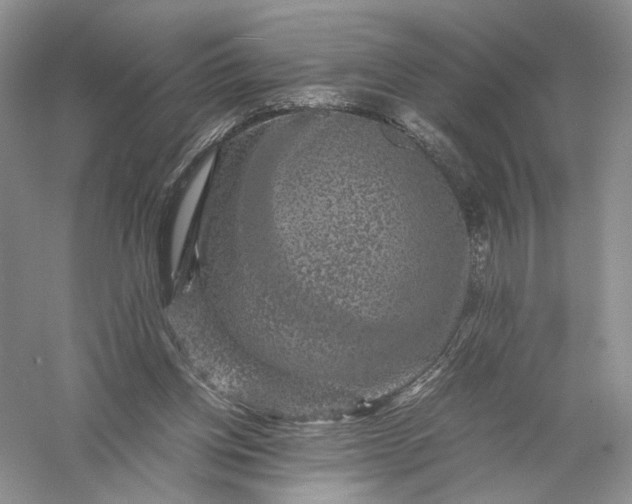 X0000056000158200509092055