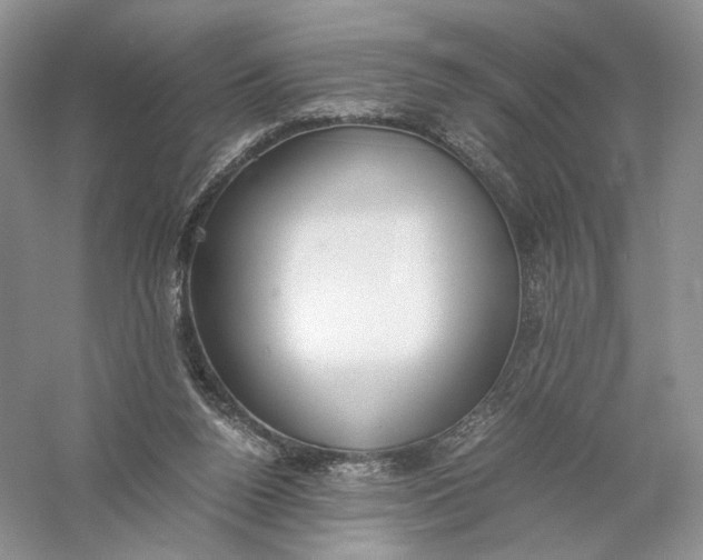 X0000056000160200509092055