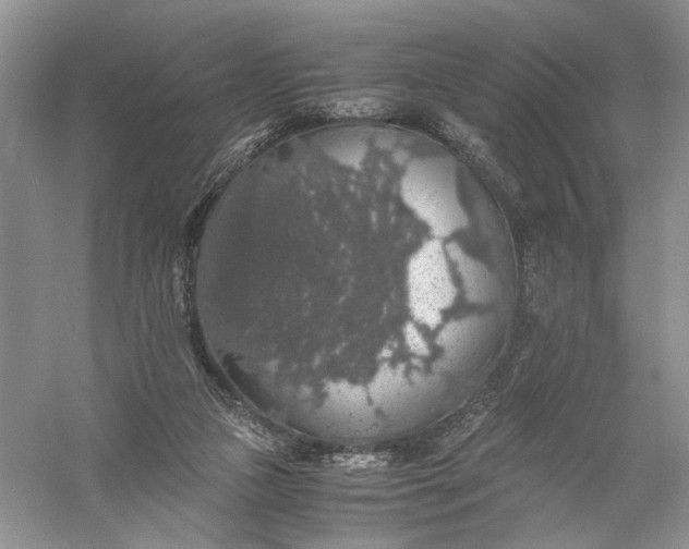 X0000056000161200509092055