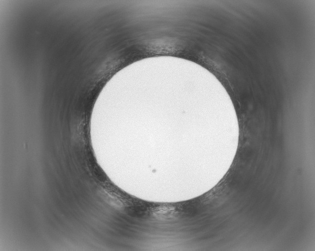 X0000056000162200509092055