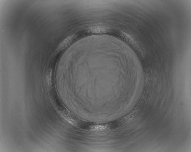 X0000056000163200509092055