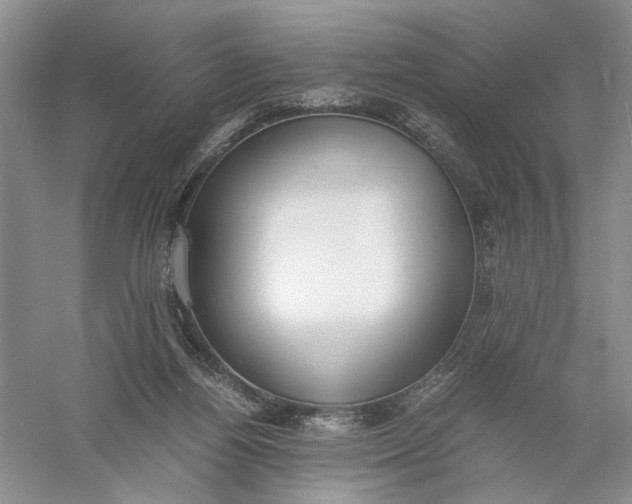 X0000056000164200509092055