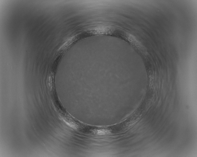 X0000056000165200509092055