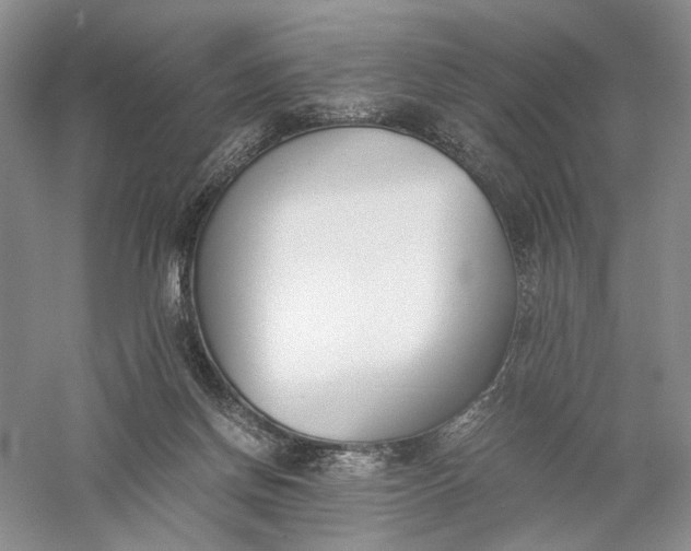 X0000056000166200509092055