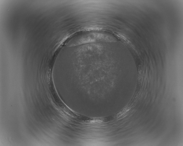 X0000056000168200509092055