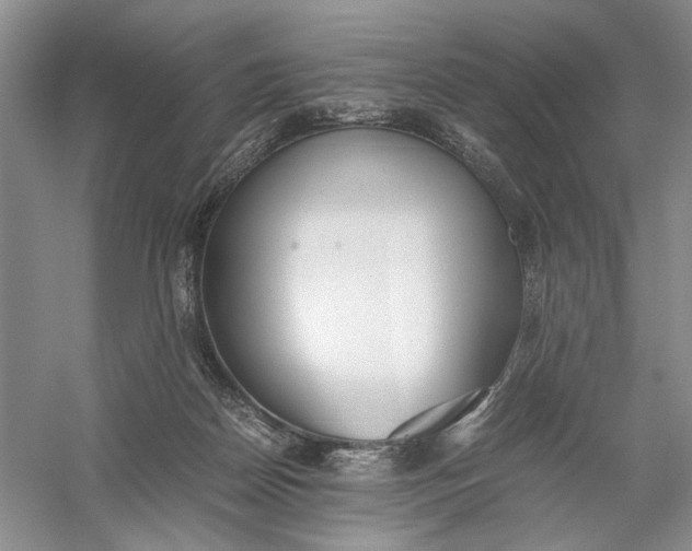 X0000056000170200509092055