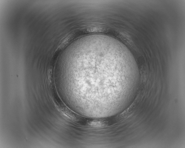 X0000056000171200509092055