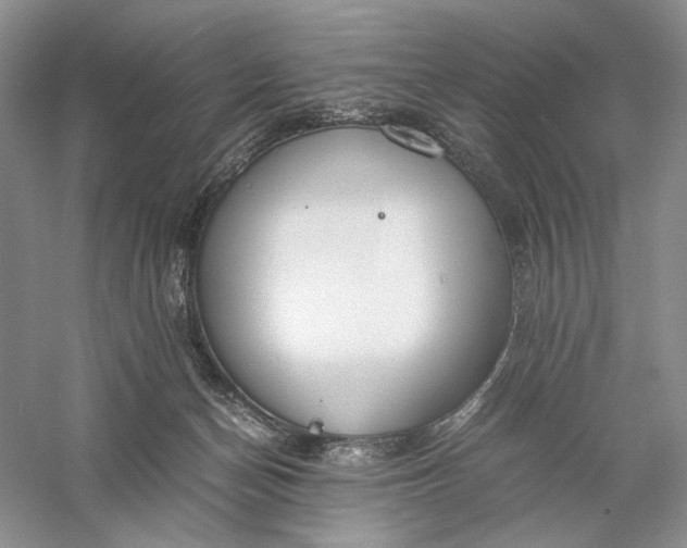 X0000056000174200509092055