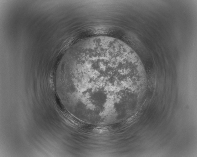 X0000056000175200509092055