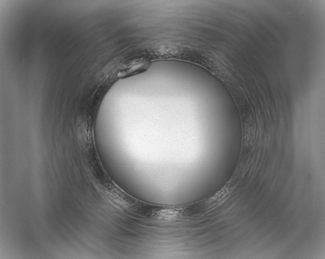 X0000056000176200509092055