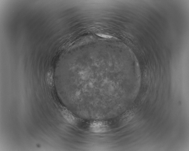 X0000056000177200509092055