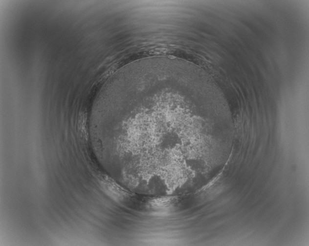 X0000056000178200509092055