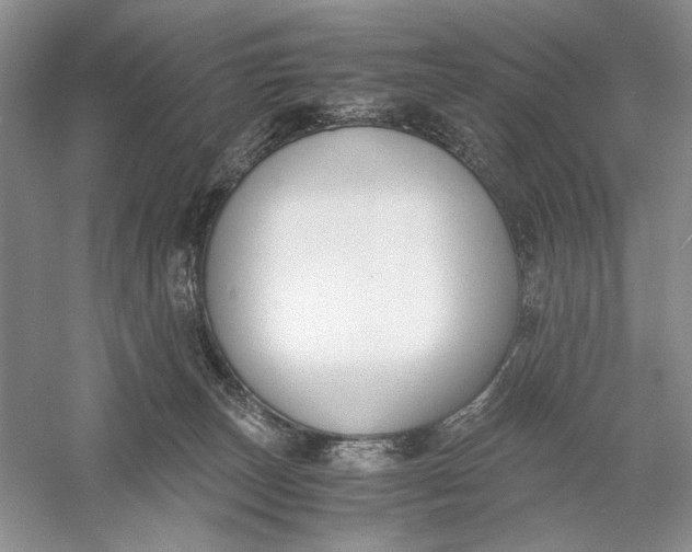 X0000056000179200509092055