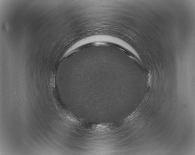 X0000056000180200509092055