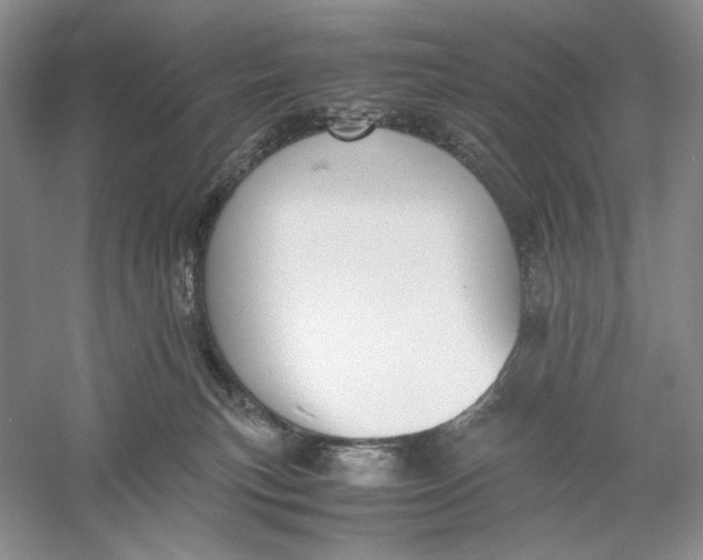 X0000056000183200509092055