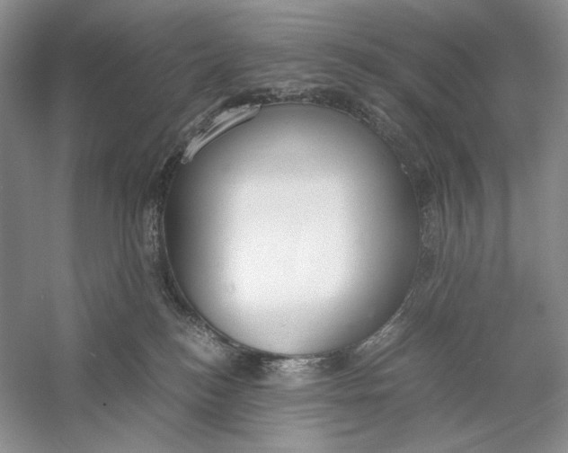 X0000056000184200509092055