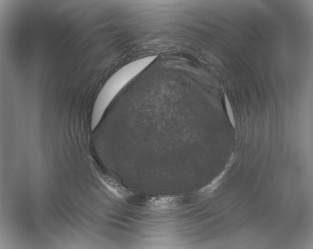 X0000056000186200509092055