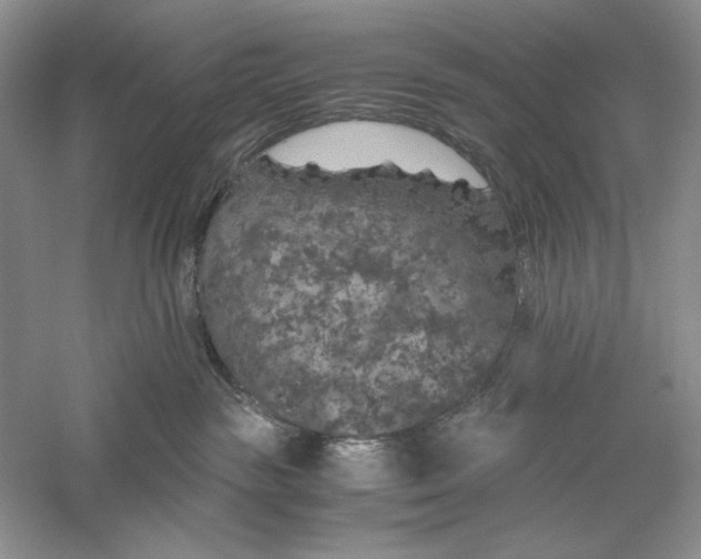 X0000056000189200509092055