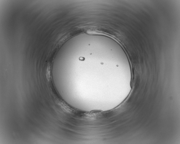 X0000056000190200509092055